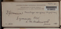 Image Associated With the Occurence